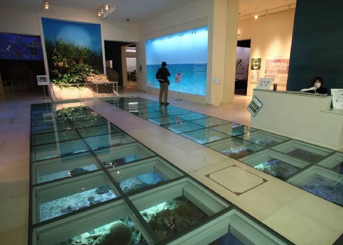 Okinawa Prefectural Museum & Art Museum